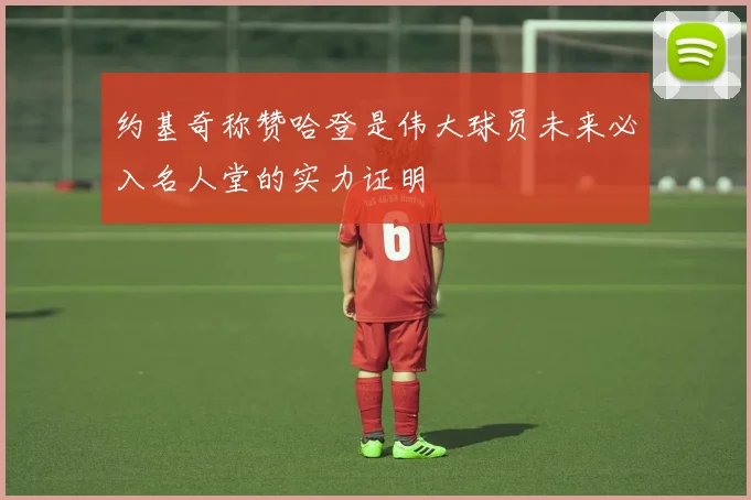 约基奇称赞哈登是伟大球员未来必入名人堂的实力证明